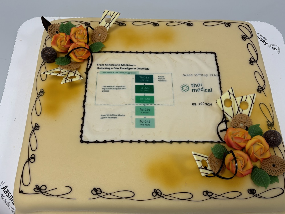 cake with a design and business logo on top