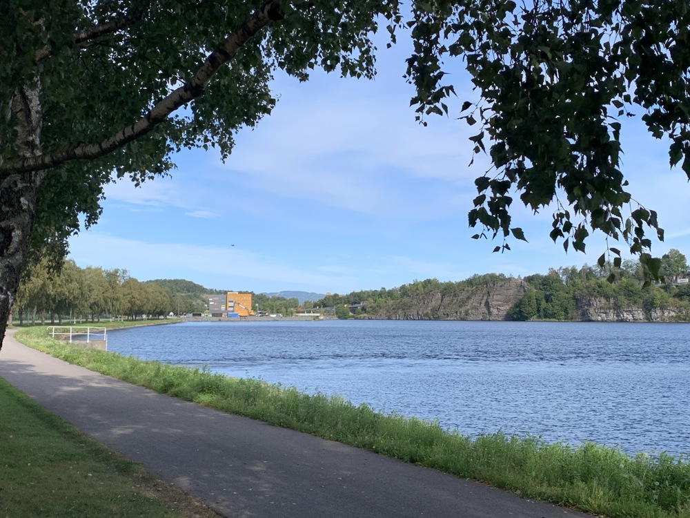 fjord, cycling and pedestian path along the waterfront, tree with branches hanging down, blue sky